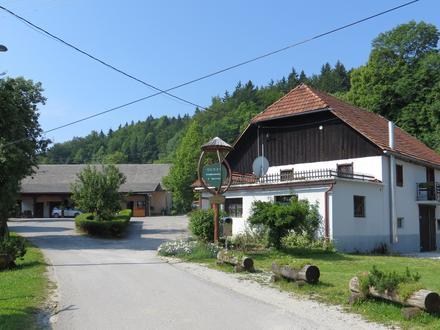 Slika Slivna Slika Slivna