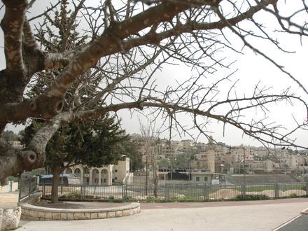 Bild von Beit Safafa Bild von Beit Safafa