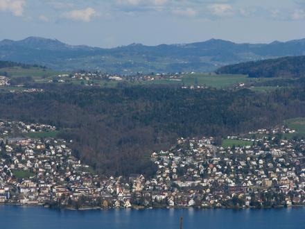 Image of Forch Image of Forch