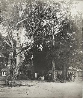 Image of Mankessim Image of Mankessim