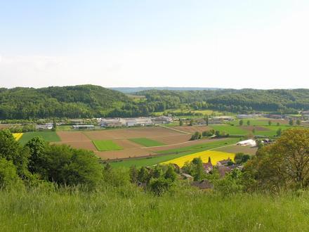 Bild von Thayngen