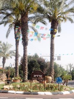 Image of Nordia