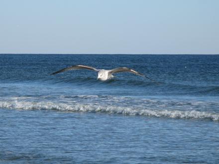 Imagen de Sunset Beach (Carolina del Norte)