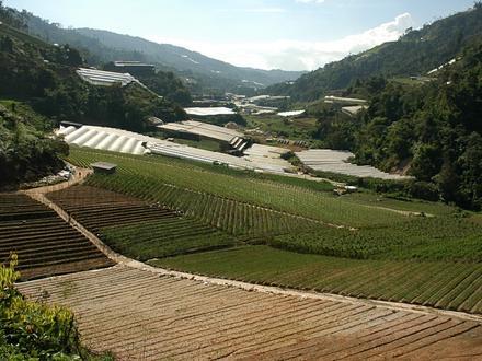 Image of Bertam Valley Image of Bertam Valley