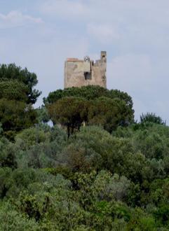 Immagine Punta Ala