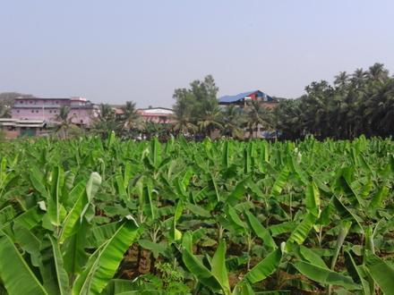 تصویر وژکد تصویر وژکد