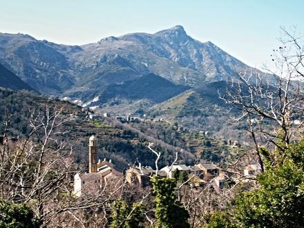Bild von Carpineto Bild von Carpineto