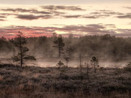 Asukoha Mukri pilt Asukoha Mukri pilt