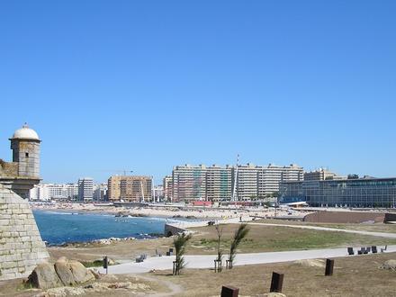 تصویر ماتوسینوس تصویر ماتوسینوس