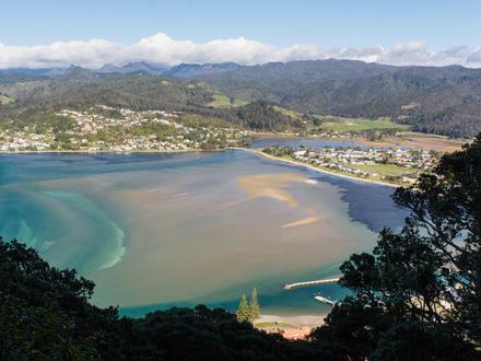 Bild von Tairua