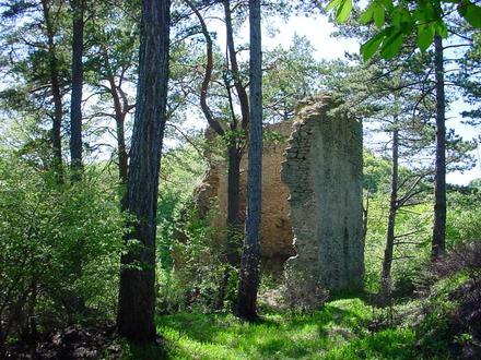 Bild von Crizbav