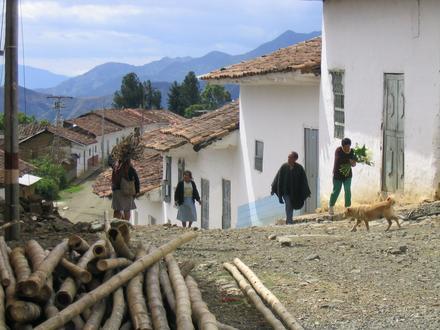 Imahe ng Rosas, Cauca