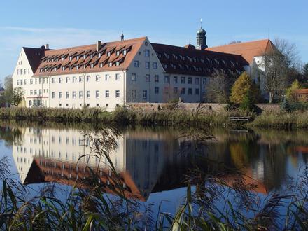 Wald Image