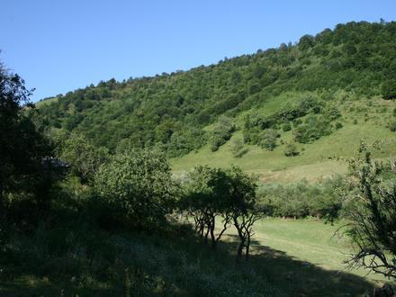 Image of Tërrnavicë Image of Tërrnavicë
