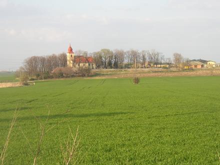Immagine Lichoceves Immagine Lichoceves