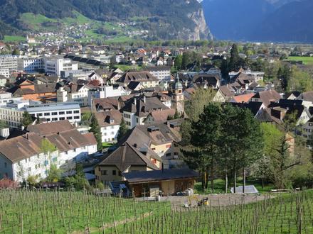 Asukoha Altdorf pilt