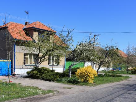 Immagine Kolaje Immagine Kolaje