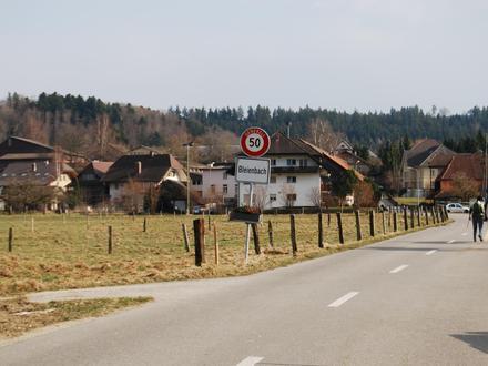 Bild von Bleienbach