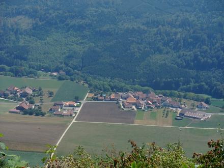 Bild von Novalles Bild von Novalles