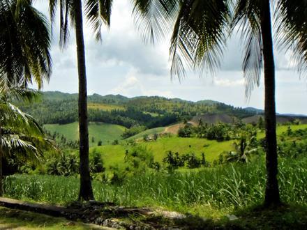 Image of Sogod, Cebu Image of Sogod, Cebu