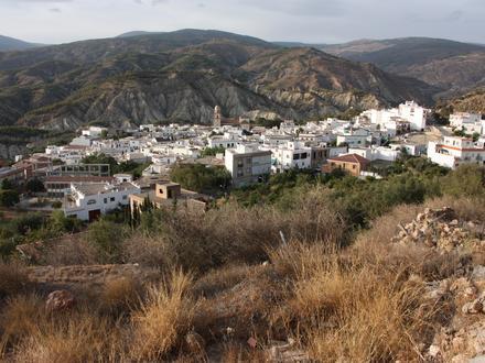 Image of Alcolea Image of Alcolea