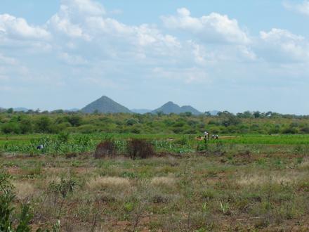 Filabusi Image