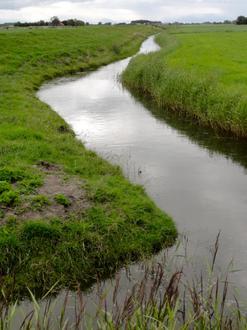 Image de Pingjum