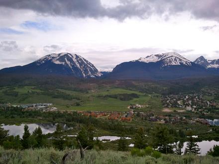 Afbeelding van Silverthorne