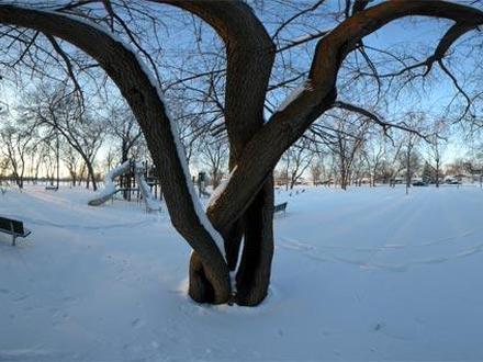 Immagine Oak Lawn Immagine Oak Lawn