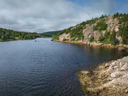 Image of Avondale, Newfoundland and Labrador