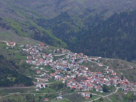 Image of Avdella Image of Avdella
