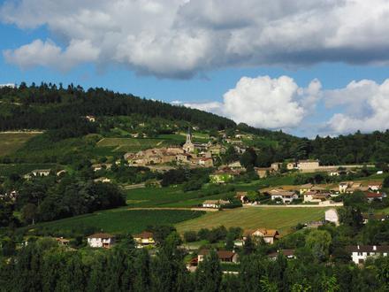 Imatge de La Roche-Vineuse Imatge de La Roche-Vineuse