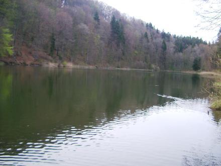 Bild von Bergdietikon