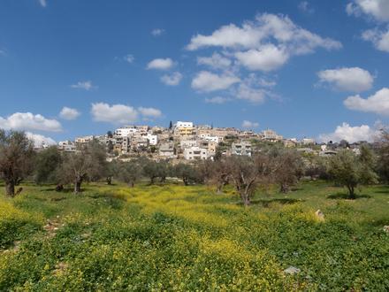 Image of Awarta Image of Awarta