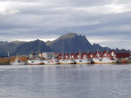 Bild von Andenes