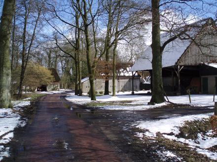 Afbeelding van Westerse Bos