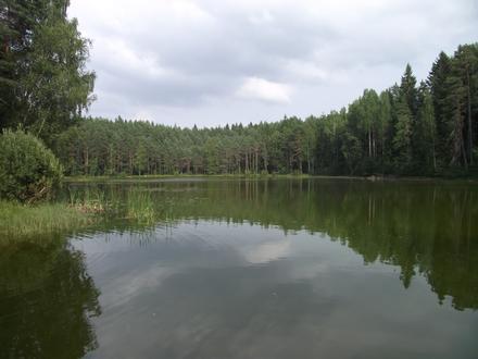 Asukoha Jõuga pilt Asukoha Jõuga pilt