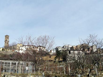 Image of Carpasio Image of Carpasio