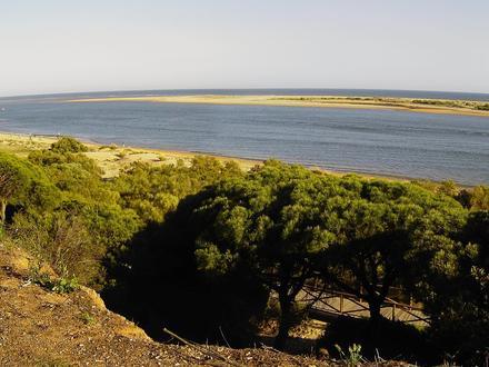 Bild von Cartaya
