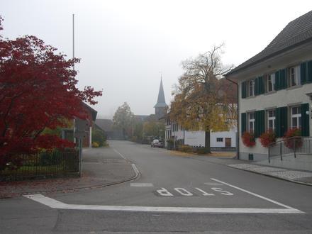 Bild von Dorf ZH