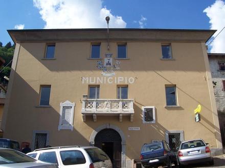 Immagine Vione Immagine Vione
