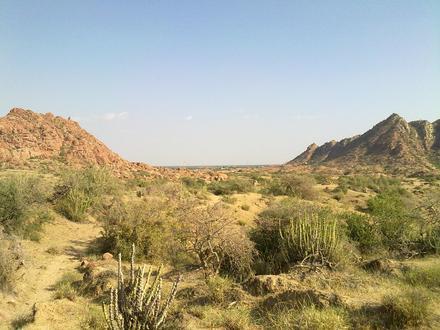 Image of Nagarparkar