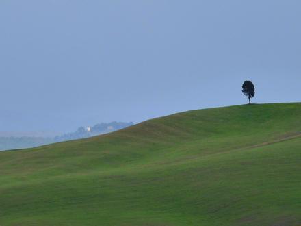 Immagine Lajatico Immagine Lajatico