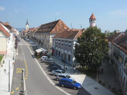 Slika Izvir