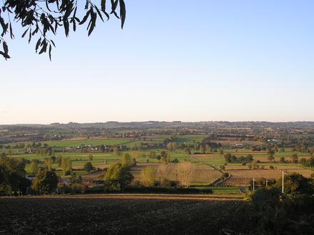 Imagen de Vernix Imagen de Vernix