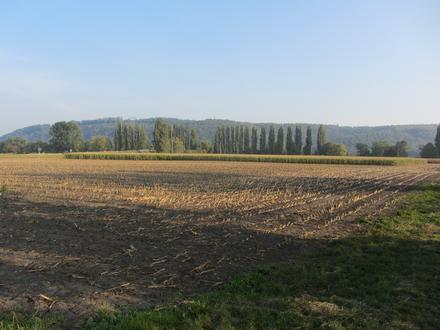 Bild von Cornaux Bild von Cornaux