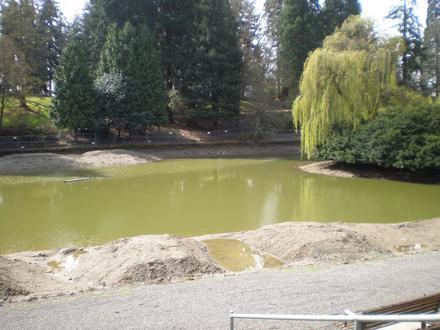 Image of Laurelhurst Park Image of Laurelhurst Park