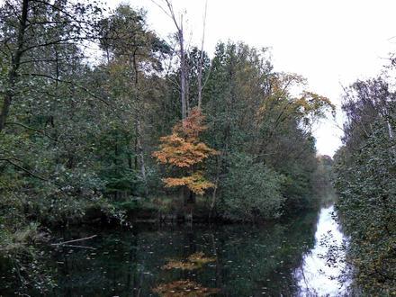 Immagine Brasschaat