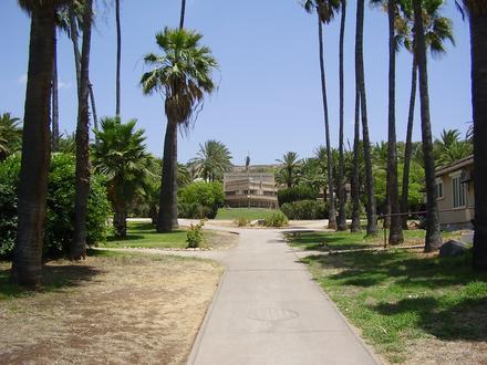 Image of Tel Yosef Image of Tel Yosef