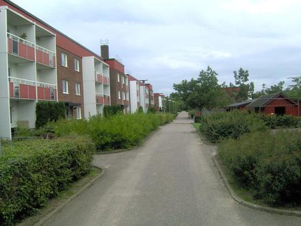 Bild von Dalby (Schonen)